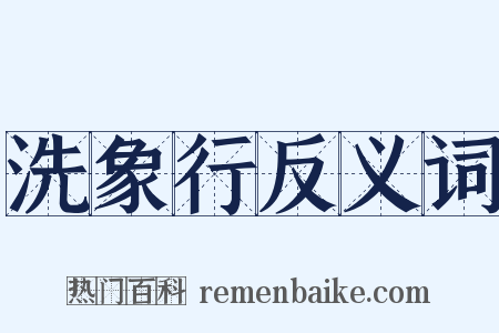 洗象行反义词是什么意思的图片